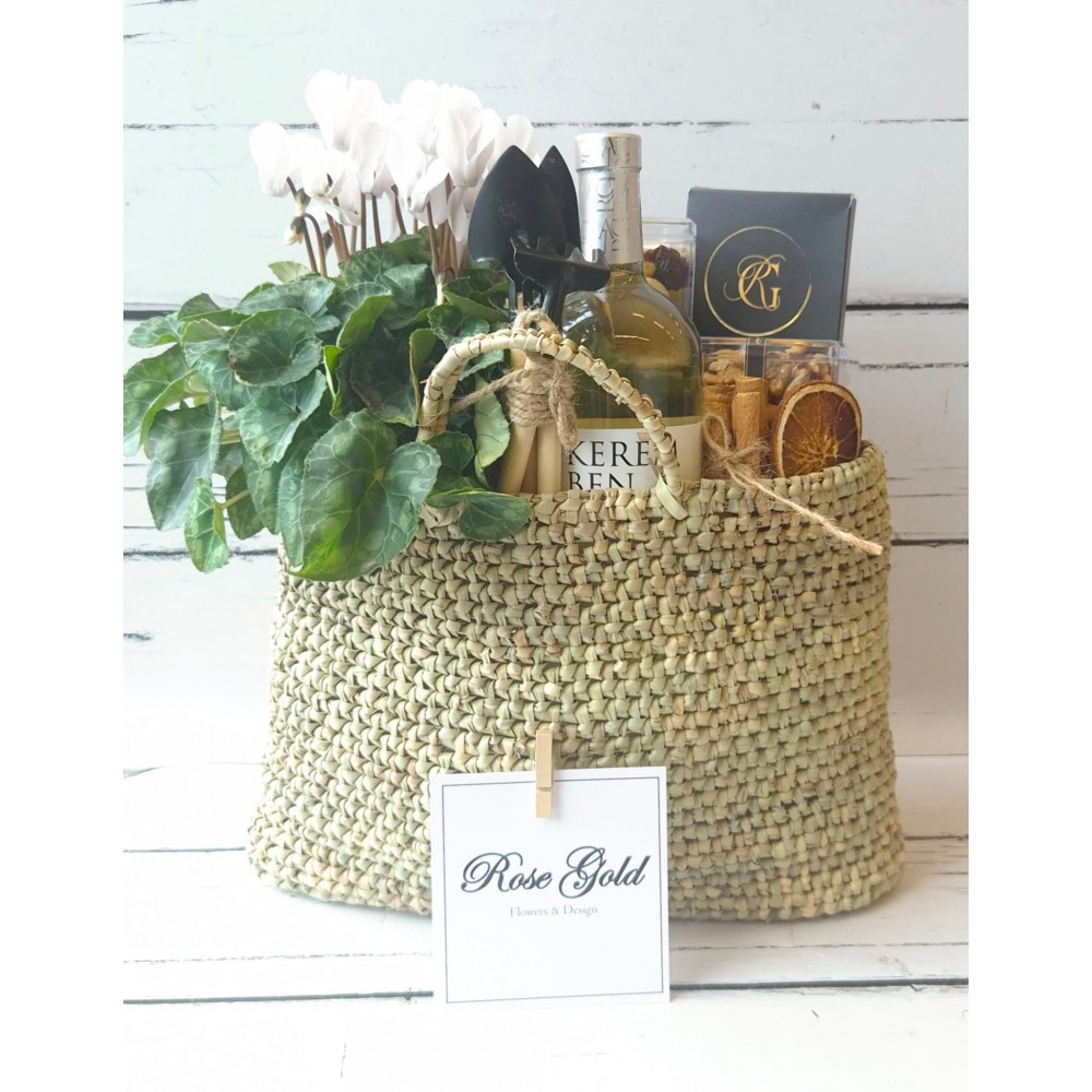 מארז טו בשבט