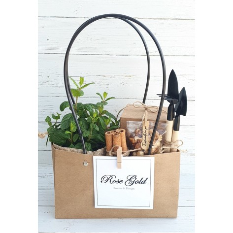 מארז טו בשבט