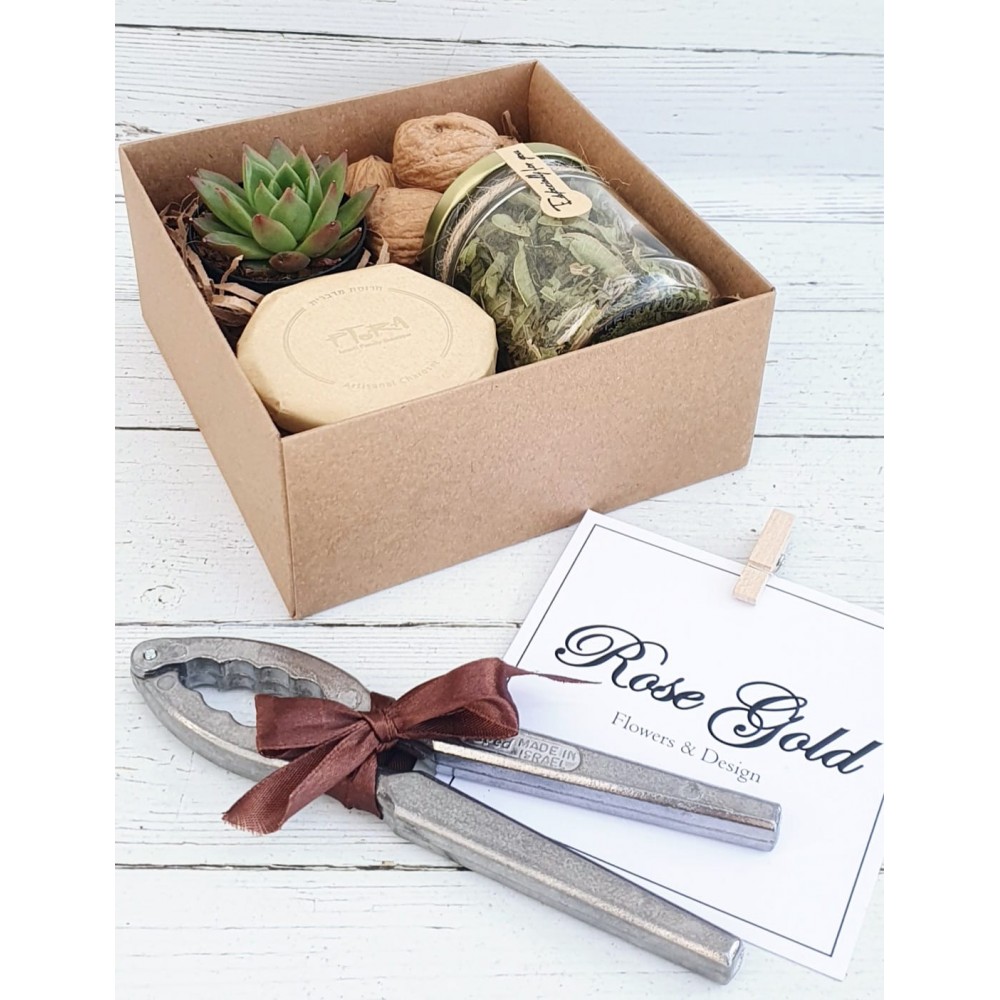 פסח אדמה וטעמים