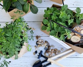 מארזים לטו בשבט